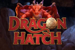 Dragon Hatch CNC Bet ícone